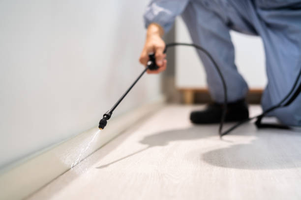 Licensed Cockroach Control service in Shepherd, MI - Nex Pest Control