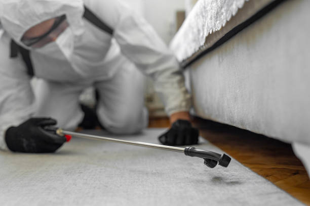 Professional Cockroach Control technician working in Shepherd, MI