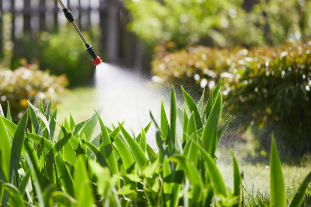 24/7 Emergency Cockroach Control experts in Shepherd, MI