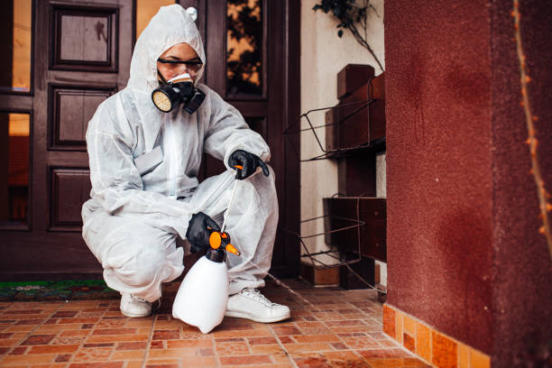 Reliable Cockroach Control contractor in Shepherd, MI by Nex Pest Control