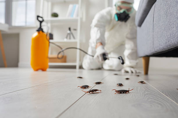 Trusted Emergency Pest Control service in Shepherd, MI - Nex Pest Control