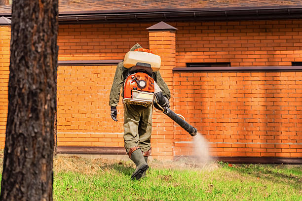 Trusted Rodent Control service in Shepherd, MI - Nex Pest Control